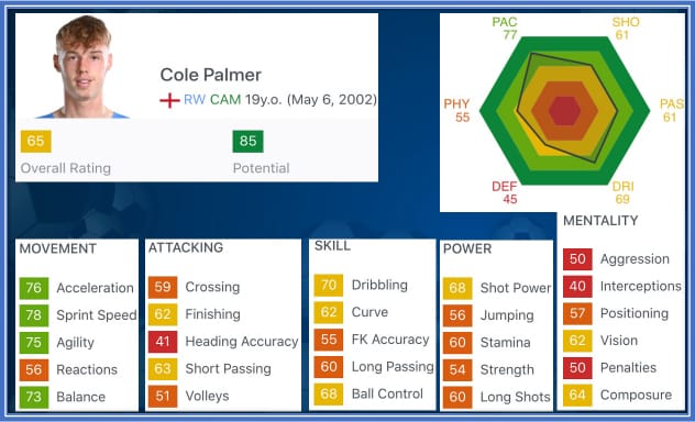 cole palmer_Cole Palmer 传记_科尔·帕尔默童年故事