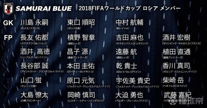 日本队世界杯阵容_日本队2010世界杯_日本足球百年计划