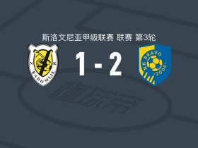 NK布拉沃比赛结果_NK布拉沃球队分析_布拉沃