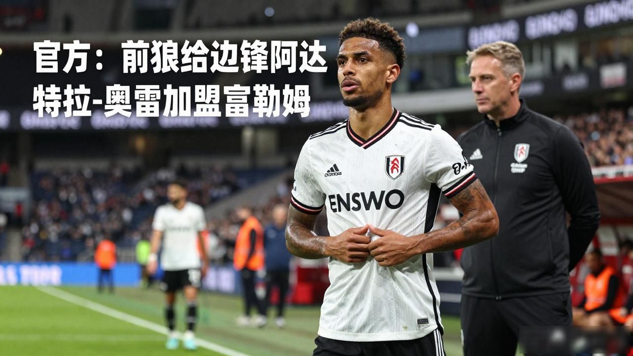 阿达玛 曼联时期 生涯回顾_阿达玛