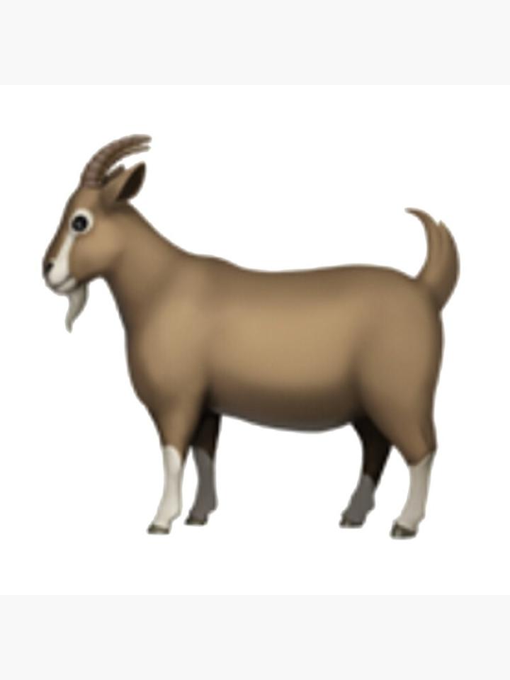 汤姆布雷迪_汤姆-布雷迪 GOAT 历史最佳